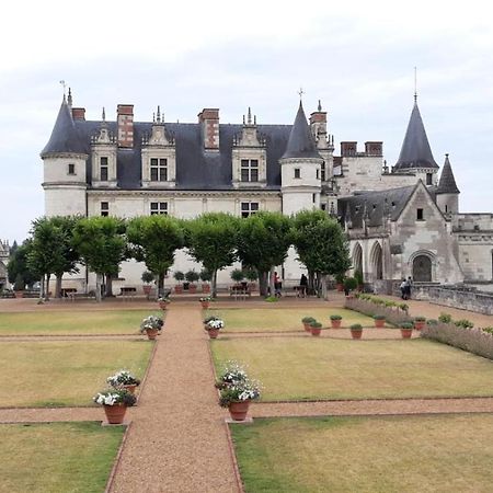 Appartement Au Calme, Avec Parc Prive, 50M Du Tram Tours Kültér fotó